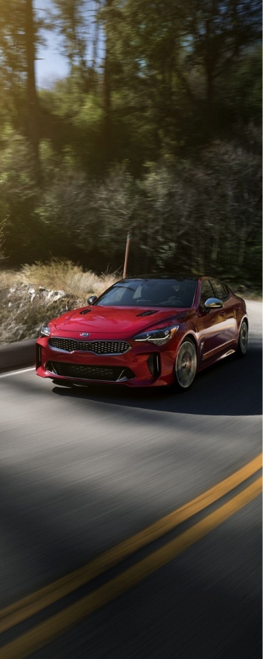 KIA BANNER 1